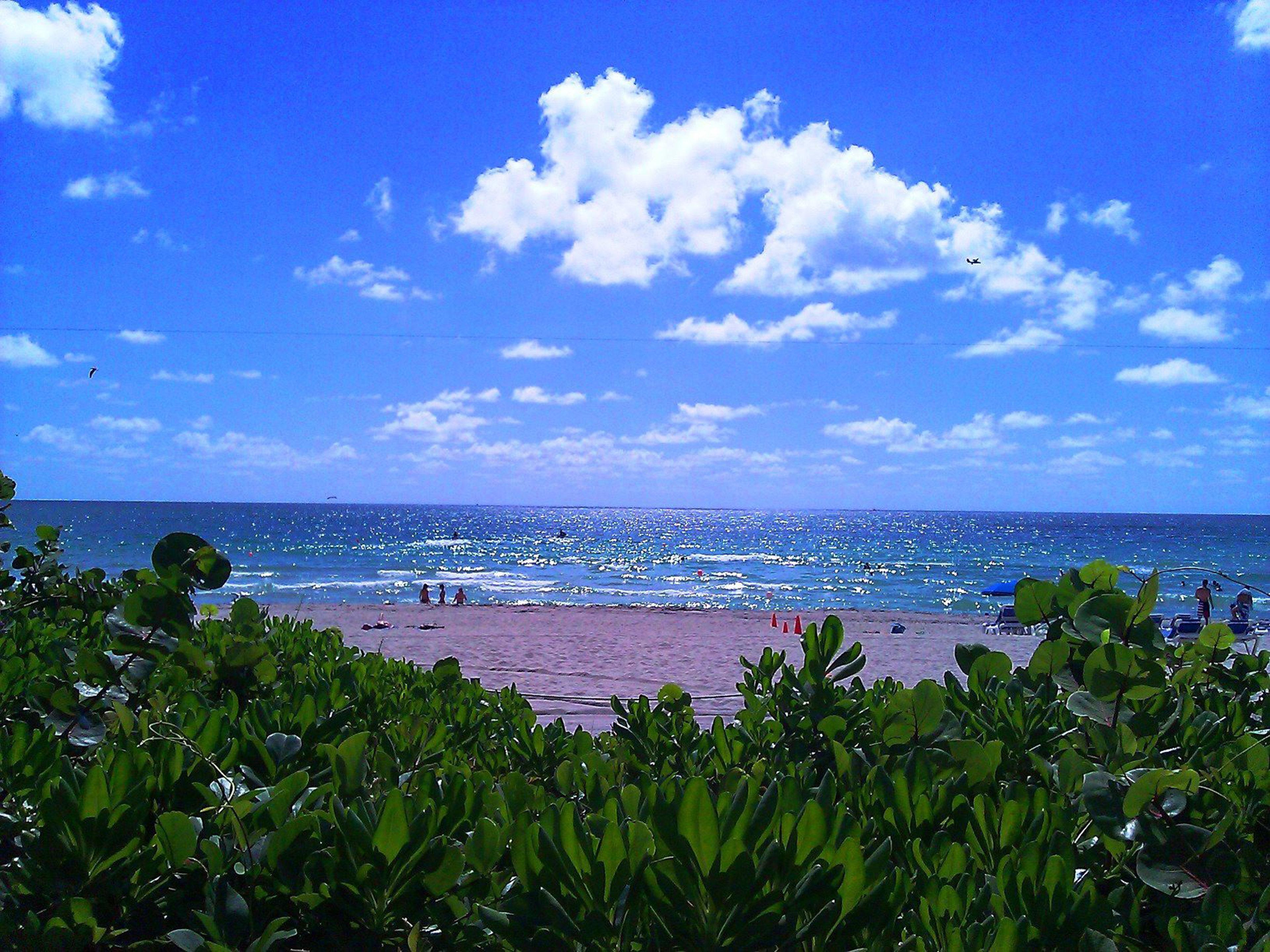 Holiday Inn Miami Beach-Oceanfront By Ihg Esterno foto